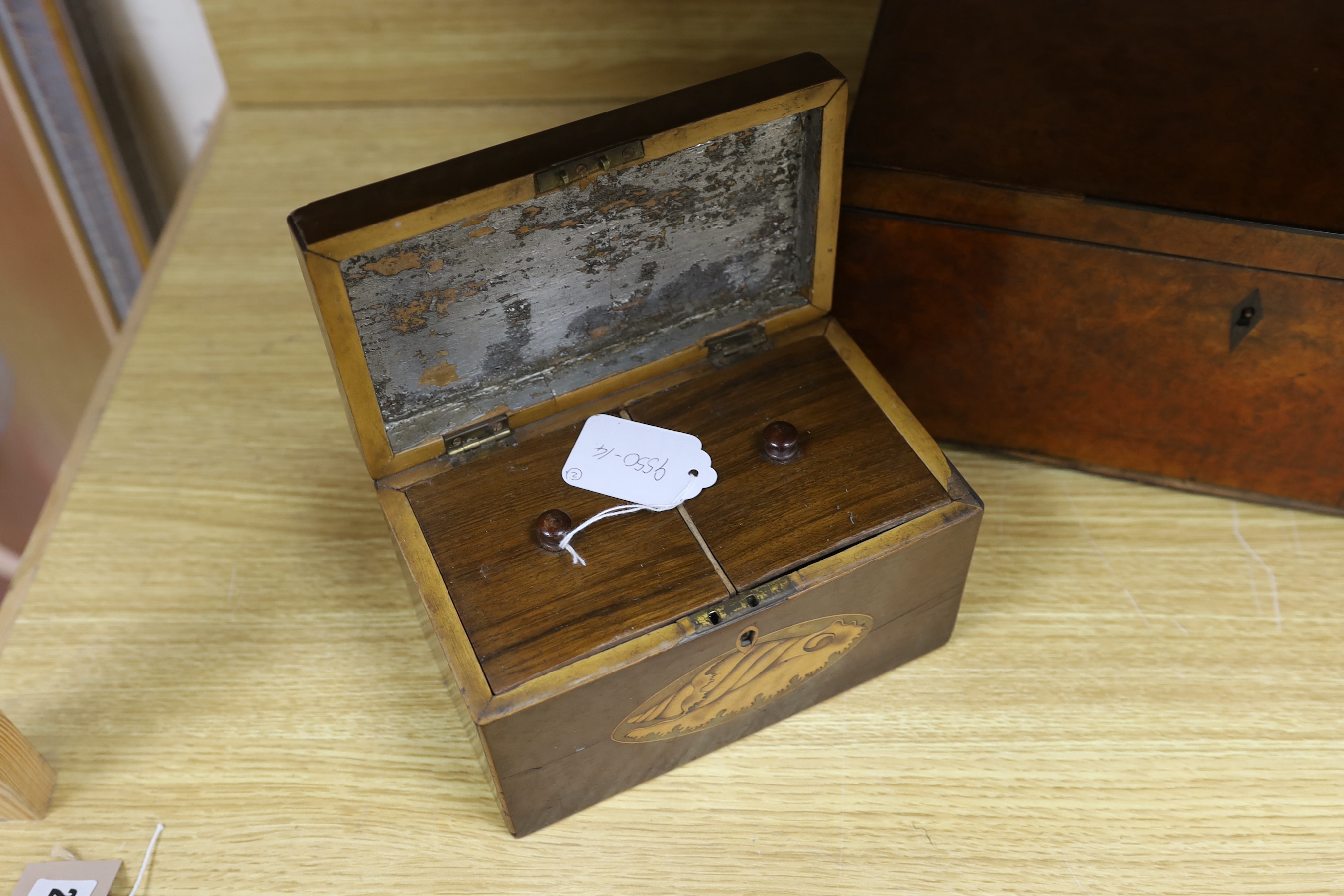 A George IV burr walnut tea caddy, 34cm and a George III harewood and marquetry tea caddy